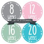 Months in Motion Pregnancy Weekly Belly Growth Stickers - Baby Bump Belly Stickers - Maternity Week Sticker - Pregnant Expecting Photo Prop Keepsake - Expectant Mom Gift - Arrows (Grey/Pink/Blue)