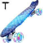 BELEEV 22 inch Skateboards for Kids, Cruiser Skateboard for Beginners Girls Boys Teens Adults, Mini Skateboards Classic Complete Skate Board with Skate T-Tool, Max Load 220 LBS (Space Blue)