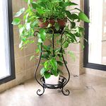 Ezzu Crafts Metal Tall Plant Stand Indoor/Outdoor,Iron Flower Pot Holder Small Plant Holders,Flower Pot Stand Flower Pot Supporting,Potted Plant Stand Plant Rack Planter Stand