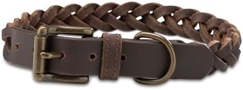 Collare intrecciato per cani in pelle grassa, robusto collare in pelle fatta a mano, collare in pelle di bufalo di alta qualità Clarissa (lunghezza 42 – 51 cm)