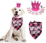 Dog Birthday Bandana - Girl Dog Birthday Hat with Number - Dog Birthday Supplies for Small and Medium Dog Pet