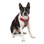 Kurgo 01938 Journey Air (TM) Dog Running Harness, Dog Walking Harness, Dog Hiking Harness, Red/Grey, Small