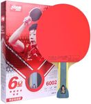 DOUBLE HAPPINESS DHS Ping Pong Tabl