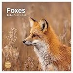 2024 Foxes Monthly Wall Calendar by Bright Day, 12 x 12 Inch