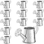 12-Pack Mini Galvanized Watering Can, Decorative Mini Watering Can for Crafts, Party Favors, Housewarmings, Garden-Theme Parties, and Home Decor (Silver, 3x1.6 in)