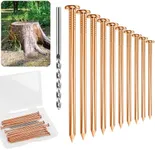 UCandy Pack 10 Copper Nails for Killing Trees Stump Root, 3.14" Copper Nails with Drill, Stump Removal Spikes Hardware Nails for Trees