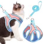 Qpets® Cat Harness with 1.5m Leash, Cat Belt Adjustable Size Breathable Cat Vest Strap with Safety Reflective Strip, Cat Leash with Harness for Small Cat and Dog (M, Blue)