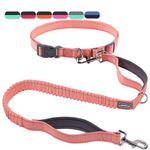 VIVAGLORY Hands Free Dog Leash, Waist Leash for Medium & Large Dogs, Reflective Adjustable Shock-Absorbing Bungee Running Leash with Dual Padded Handle for Walking, Jogging, Hiking, Hiking, Pink-Grey