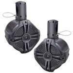 Marine-Grade Wake Tower Enclosure and Speaker System - Set of 2