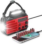 [10000mAh Battery] Raddy SW10 Wind Up Radio, Emergency Hand Crank Solar AM FM Radio with Rechargeable Battery, Flashlight, SOS Alarm, Compass & Power Bank for Power Outage Camping Hurricane Outdoor