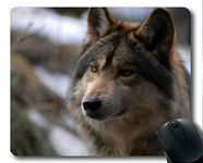 Yanteng Mousemat,Animal love wolf grass Gaming mouse pads (multicolor)