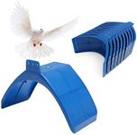 SENNAUX 10PCS Dove Rest Stand Frame Pigeon Perches Grill Dwelling Bird Rest Roost Holder (10PCS, Blue)