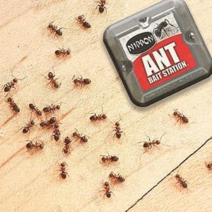 Ant Bait Station Twin Pack – Indoor & Outdoor Ant Killer Traps