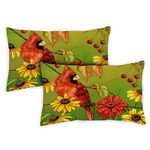 Toland Home Garden 771259 Birds N Berries 12 x 19 Inch Indoor/Outdoor, Pillow, Case (2-Pack)