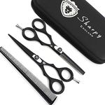 Professional Hairdressing Scissors/Barber Hair Cutting Thinning Scissors Shears - 5.5 inch - Razor Sharp Japanese Stainless Steel & Fine Adjustment Tension Screw Black