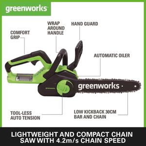 Greenworks 12" Cordless Chainsaw – 40V, Auto-Oiler, 2Ah Battery & Charger