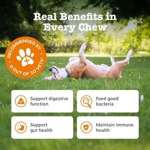 Zesty Paws Probiotics for Dogs – 90 Chews Digestive Supplement