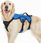 rabbitgoo Escape Proof Dog Harness,