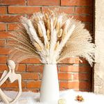 Der Rose 17 Inches Dried Grass for Boho Bathroom Bedroom Kitchen Living Room Office Home Room Fall Decor Aesthetic