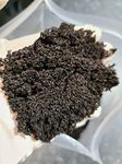 5 litres- Fresh Worm Castings for Plants, Loaded with Beneficial microorganisms, 5 Pounds