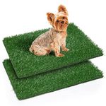 Artificial Grass For Dogs