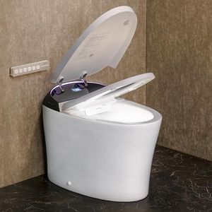 CANEST Smart Toilet with ADA Chair Height, Foam Dispenser, 1.1/1.6GPF Dual-Flush Bidet Toilet, 12" Rough-in, One Piece Toilet, Eco Mode, Auto Open/Close, Warm Water/Dryer, Self-Cleaning, Deodorization