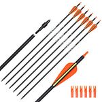 Carbon Arrows With Replacements