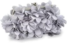 JAMBHALA Women Clutch Evening Bag Small Floral Purses with Chain for Wedding, Party, Prom (Silver)