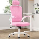 Farini Ergonomic Office Chair, Mesh Office Desk Chair with Headrest, High Back Computer Chair with Flip-up Armrests and Adjustable Lumbar Support.for Home Office Study Room Bedroom,Pink