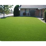 Chetanya Loomtex Artificial Grass Carpet Mat (Natural Green)