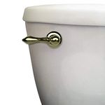 Danco 89451A Universal Toilet Tank Lever, Polished Brass