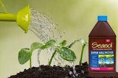 Seasol Soil Wetter Seaweed Concentrate Solution 1 Litre