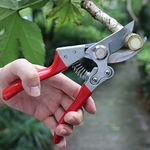 Professional Hand Pruners, Heavy Duty Pruners, Tree Trimmers Secateurs, Bypass Pruning Shears, Garden Shears, Yard Clippers