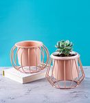 Nurturing Green® Combo of 2 'Ottoman' Table Top Modern Pastel Pink Metal Stand with Planters (Plants Not Included) | Small Metal Pots for Home Decoration (with 4.5 Inch Diamond & Round Shape Stand; 2 Pink Planters)