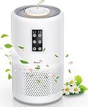 Air Purifiers for Home Large Room w