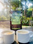 Thottimane Coffee I Chikkamagaluru Coffee Premium Filter Coffee Powder 250g | [80% Coffee - 20% Chicory] | Plantation Arabica AA Beans | thottinad Coffee I Aroma Coffee I Traditional South Indian Plantations Blend | Ground Coffee