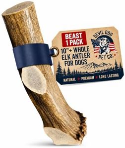 Devil Dog Pet Co. Elk Antlers for Dogs, Beast 10"+, 1 Pack, Grade A Long Lasting Chew for Aggressive Chewers, Premium USA Naturally Shed Antler – Healthy, No Odor, Durable Dog Chew