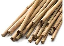 2FT-3FT-4FT-5FT-6FT Bamboo Garden Canes/Stake/Pole Garden Plant Flower Support Sticks Outdoor/Indoor Natural Strong Plants Support (10, 2ft -60cm (12-14mm))