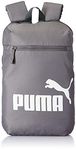 Puma 10.2 Litres Daypack Ind Iv Castlerock Backpack (White)