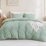 Litanika Sage Green Comforter Queen