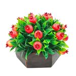 fancymart Artificial Fruit Pomegranate in Wood Hexagon Pot - 15cm Height - Home & Office Decor Elegant Potted Plant for Tabletop Enhancement