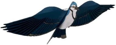 Jackite Assembled Blue Jay Bird Kite, Wind Sock