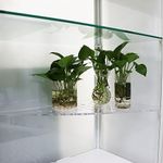 PIAOLGYI Replacement Shelf for IKEA Milsbo Short Indoor Greenhouse Cabinet, Triangular Acrylic Corner Shelves Extra Shelves Accessories Compatible with IKEA Milsbo Short Glass Cabinet(2 Pack)