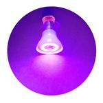 TORPE-10W 20 LED Ultra Violet 395nm Light Bulb B22 with clear pc cover.