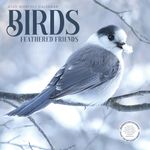 Bird Wall Calendar 2025 | 12” x 24” Birds: Feathered Friends 12 Month | Marble City Press | Backyard Ornithologist Garden Songbird | Bird Migration Map Educational QR Codes | 2024-2025 Calendar