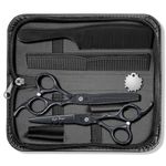 Purple Dragon 6.0 Inch Japan Professional Barber Hairdressing Scissors Salon Hair Cutting Thinning Shears Set