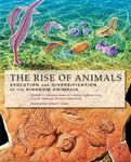 The Rise of Animals – Evolution and Diversification of the Kingdom Animalia