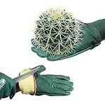 SAFTA Cut Resistant Gloves, Kevlar lining gloves Level 5 Protection, Thorn proof Gardening Gloves, Stab Proof Gloves for Handling Sharp Objects in Butcher | Mechanic | Industrial Work.(One Pair, XL)