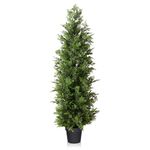 Home Depot Real Trees