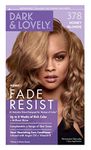 Dark & Lovely Color #378 Honey Blonde (2 Pack)